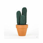 Cactussen haken - Sarah Abbondio