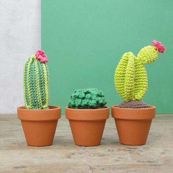 Haakpakket Cactussen Hardicraft Haakpakket Cactussen Hardicraft