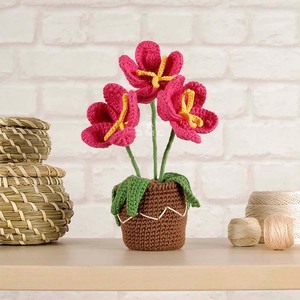 Amigurumikit Bloempot haken DMC